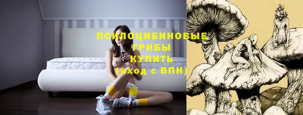 сатива Алексеевка