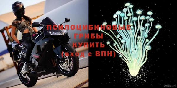 a pvp Алексин