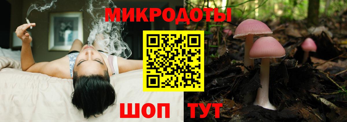 Псилоцибиновые грибы Cubensis  Вход с VPN  Казань  Галлюциногенные грибы мухоморы 
